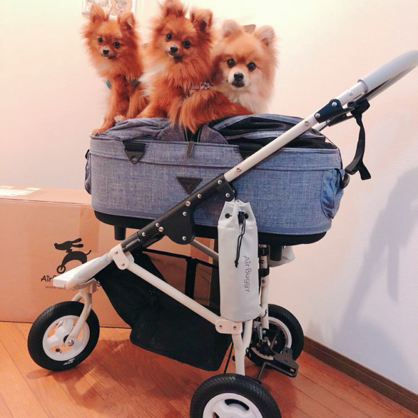 【Air Buggy for DOG】エアバギー DOME2 メランジデニム