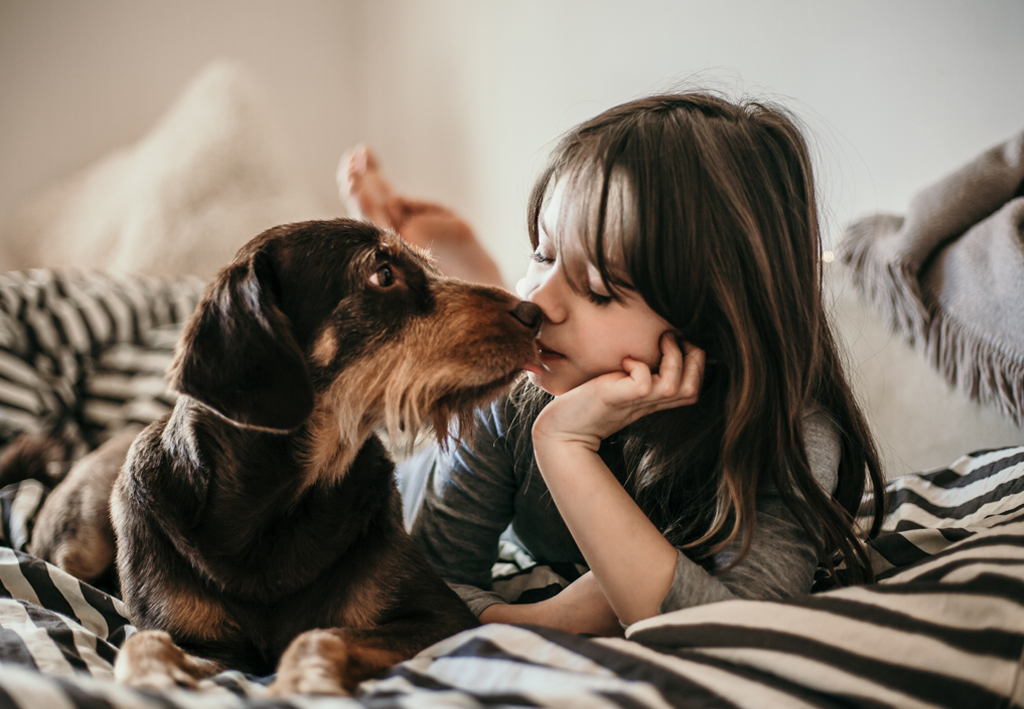 犬と一緒に寝てはいけない 愛犬と一緒に寝るメリットとデメリット Bliss Stock Information